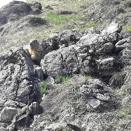 Konukevi Christl, Haus Kitzbühel