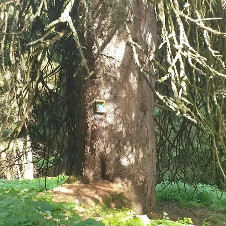 Christl, Haus Konukevi