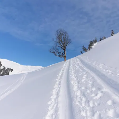 豪斯克里斯托旅馆